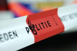 Gewapende woningoverval: Getuigen en camerabeelden gezocht