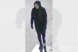 Gezocht: Geweldpleging door groep in binnenstad Den Bosch