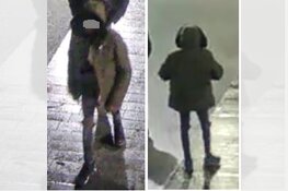 Gezocht: Geweldpleging door groep in binnenstad Den Bosch