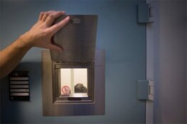 Cel voor Vlijmenaar die vrouw van fiets trok en in auto probeerde te duwen