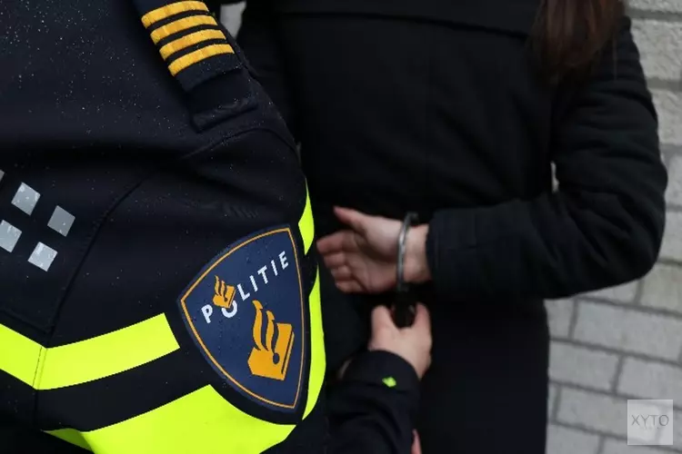 Verdachte opgepakt voor steekincident hotel Oss
