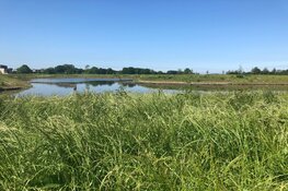 Veel belangstelling voor rondleiding op Natuurbegraafplaats Geestmerloo