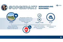 Vier verdachten opgepakt voor mishandeling in Schijndel