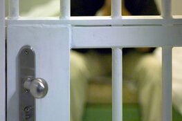 Verdachte opgepakt voor zedenmisdrijf Geffen