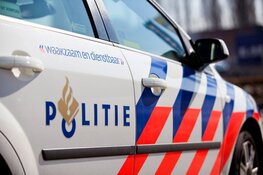 Mishandeling na diefstalpoging