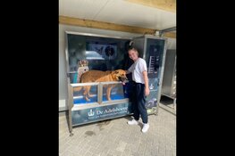 Uniek concept bij honden-dagopvang De Adelshoeve