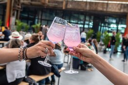 Gin & Rum festival in Den Bosch