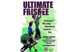 Dragons' Frisbee College