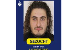 Gezocht: Misha Wils (alias Pablo)