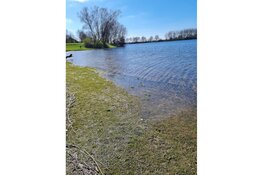 Negatief zwemadvies voor Lithse Ham Gemeentestrand in Lith