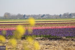 Na prima Paasweekend iets wisselvalliger, maar Koningsdag lijkt weer droog en zonnig te worden