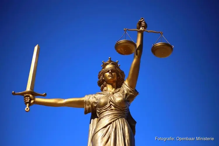 Gewelddadige overvallen op hoogbejaarde vrouwen, straatroof en poging inbraken en oplichting: OM eist gevangenisstraffen tot 14 jaar