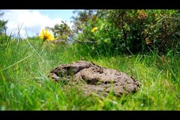 Symposium ‘Mest, het bruine goud’