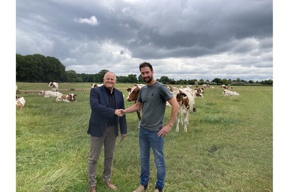 Provincie breidt beleidsregel grond voor graasdierhouderij uit met kruidenrijk grasland en biologische landbouw