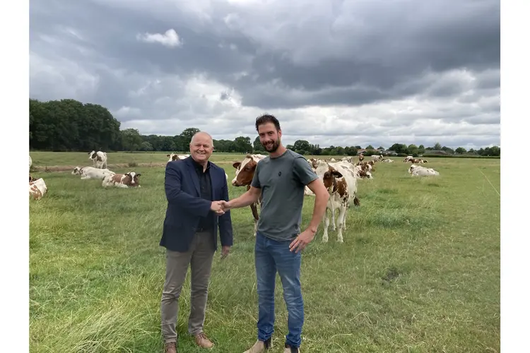 Provincie breidt beleidsregel grond voor graasdierhouderij uit met kruidenrijk grasland en biologische landbouw