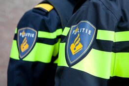 Man rijdt in op politiepaarden in ‘s-Hertogenbosch