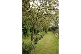 Succesvolle subsidieregeling landschapselementen voor particulieren en agrariërs verlengd