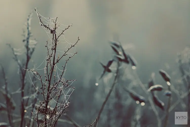 Wisselvallig weer tijdens laatste dagen van het jaar