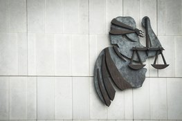 Celstraf geëist tegen lid Geuzenbond wegens verboden wapens