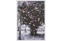 Monumentale grafiek en installaties in Willem Twee Kunstruimte bij expositie Habitat of the Mind