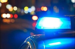 DNA verraadt gewelddadige horlogedieven