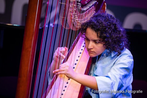 Jong klassiek talent laat zich horen in Veghel en Den Bosch