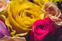 Tweede zondag van mei is de dag om moeders in het zonnetje te zetten