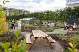 25 scholen starten dit jaar met een groen en klimaatbestendig schoolplein