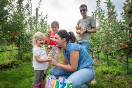Noord-Brabantse fruittelers openen hun boomgaard: geniet van de oogst van dichtbij