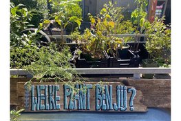 Cultuurfonds Noord-Brabant investeert ruim € 250.000 in 59 cultuur- en natuurprojecten